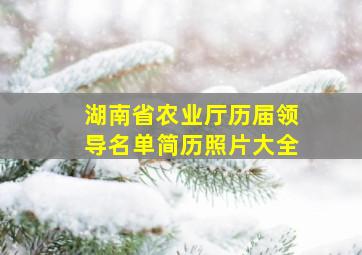 湖南省农业厅历届领导名单简历照片大全