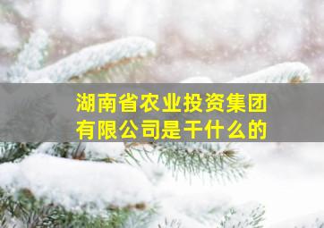 湖南省农业投资集团有限公司是干什么的