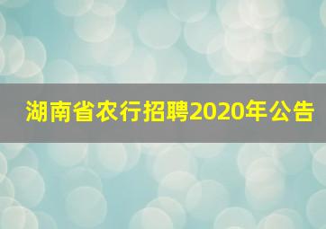 湖南省农行招聘2020年公告