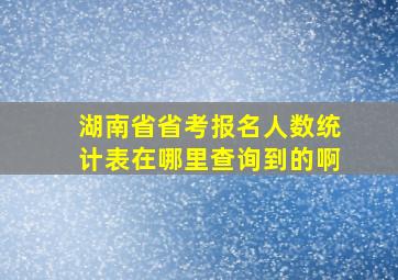 湖南省省考报名人数统计表在哪里查询到的啊