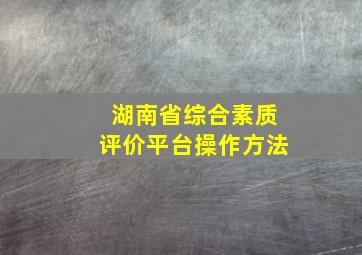 湖南省综合素质评价平台操作方法