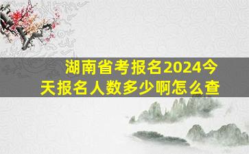 湖南省考报名2024今天报名人数多少啊怎么查