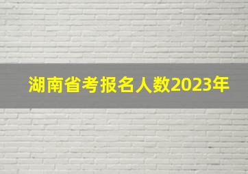 湖南省考报名人数2023年