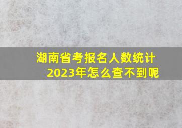 湖南省考报名人数统计2023年怎么查不到呢