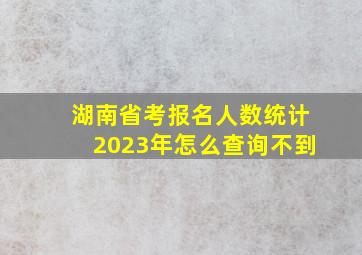 湖南省考报名人数统计2023年怎么查询不到