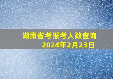 湖南省考报考人数查询2024年2月23日