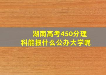 湖南高考450分理科能报什么公办大学呢