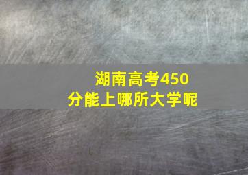 湖南高考450分能上哪所大学呢