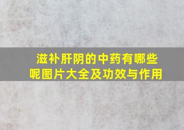 滋补肝阴的中药有哪些呢图片大全及功效与作用