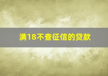 满18不查征信的贷款