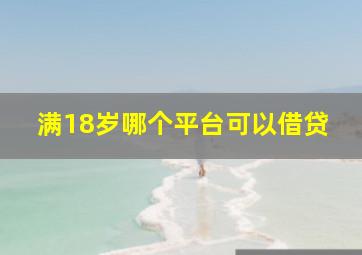 满18岁哪个平台可以借贷