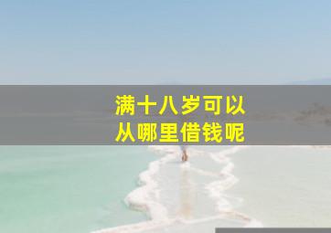 满十八岁可以从哪里借钱呢