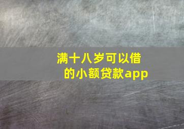 满十八岁可以借的小额贷款app