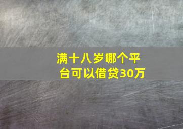 满十八岁哪个平台可以借贷30万