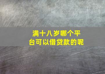 满十八岁哪个平台可以借贷款的呢