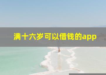 满十六岁可以借钱的app