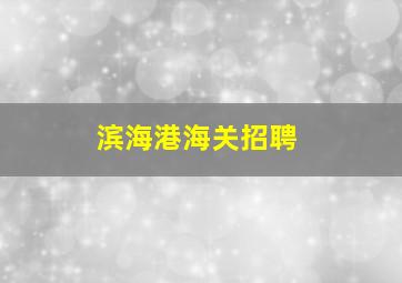 滨海港海关招聘