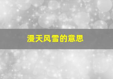 漫天风雪的意思