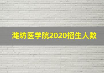 潍坊医学院2020招生人数