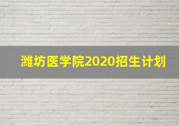 潍坊医学院2020招生计划