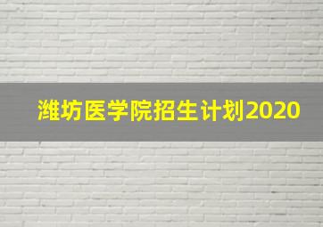 潍坊医学院招生计划2020