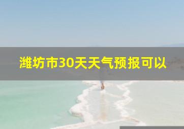 潍坊市30天天气预报可以