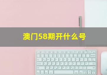 澳门58期开什么号