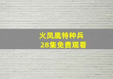 火凤凰特种兵28集免费观看