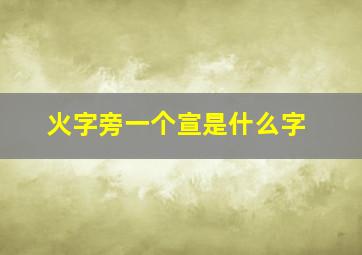 火字旁一个宣是什么字