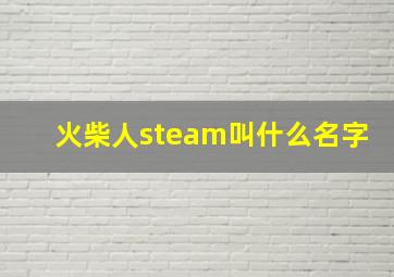 火柴人steam叫什么名字