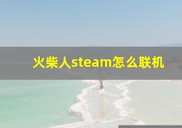 火柴人steam怎么联机