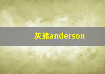 灰熊anderson