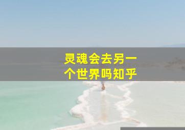 灵魂会去另一个世界吗知乎