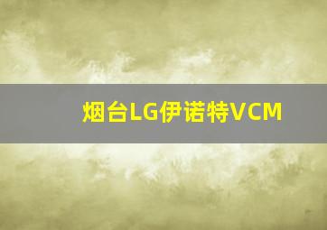 烟台LG伊诺特VCM