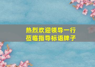 热烈欢迎领导一行莅临指导标语牌子