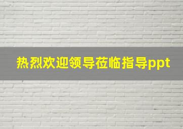 热烈欢迎领导莅临指导ppt