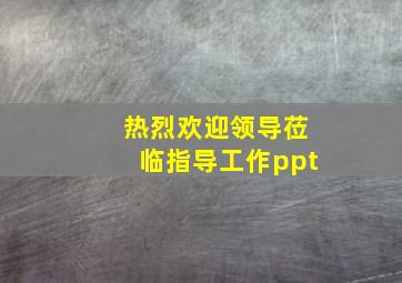 热烈欢迎领导莅临指导工作ppt