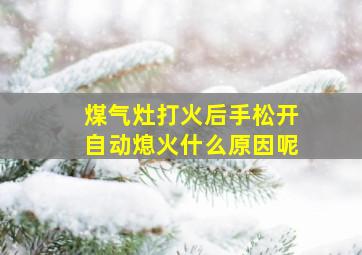 煤气灶打火后手松开自动熄火什么原因呢