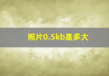 照片0.5kb是多大