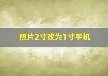 照片2寸改为1寸手机