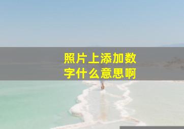 照片上添加数字什么意思啊