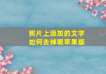 照片上添加的文字如何去掉呢苹果版