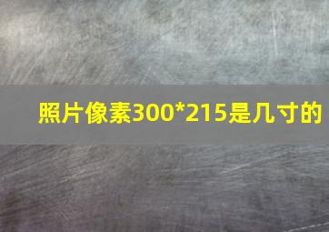 照片像素300*215是几寸的