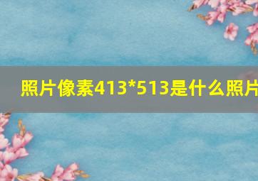 照片像素413*513是什么照片