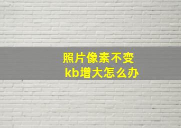 照片像素不变kb增大怎么办