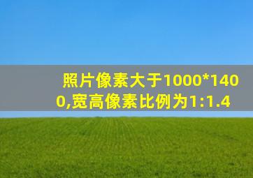 照片像素大于1000*1400,宽高像素比例为1:1.4