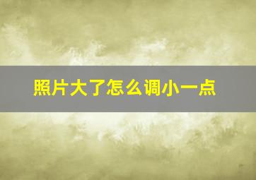 照片大了怎么调小一点