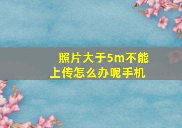 照片大于5m不能上传怎么办呢手机