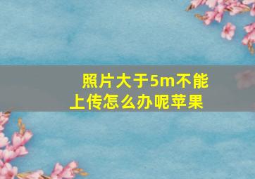 照片大于5m不能上传怎么办呢苹果