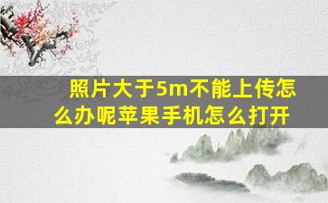 照片大于5m不能上传怎么办呢苹果手机怎么打开